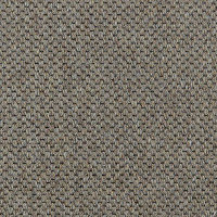 Ковролин Carpet Concept Goi 1 2809 фото 1 | FLOORDEALER