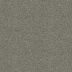 Ковровая плитка Tessera basis pro 4207 Ecru фото 1 | FLOORDEALER