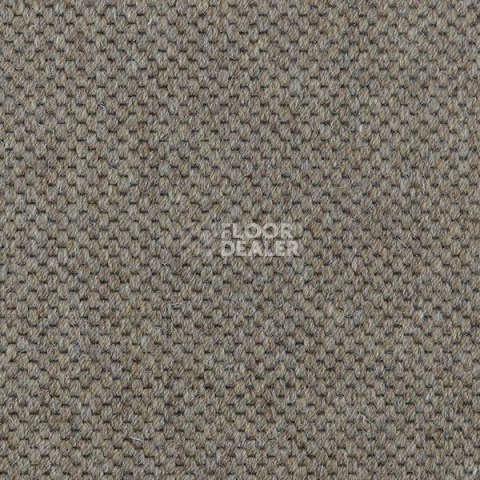 Ковролин Carpet Concept Goi 1 2809 фото 1 | FLOORDEALER