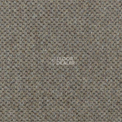 Ковролин Carpet Concept Goi 1 2809 фото 1 | FLOORDEALER