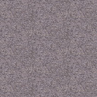 Ковролин Tapibel Spirit 8820 фото 1 | FLOORDEALER