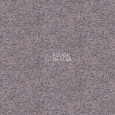 Ковролин Tapibel Spirit 8820 фото 1 | FLOORDEALER