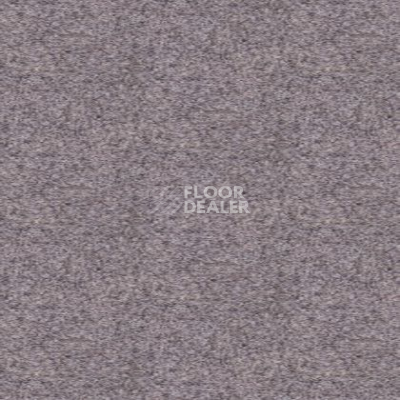 Ковролин Tapibel Spirit 8820 фото 1 | FLOORDEALER