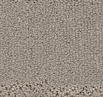 Ковролин Balsan Prado 710 фото 1 | FLOORDEALER