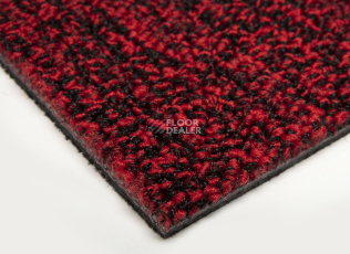 Balsan Progression 550 фото 4 | FLOORDEALER