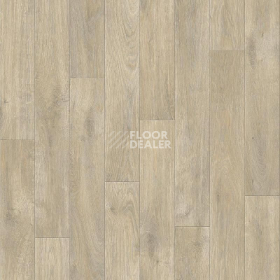 Линолеум Tarkett Grand Wilson 1 фото 1 | FLOORDEALER