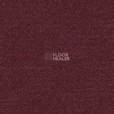 Ковролин Balsan Masai 881 фото 1 | FLOORDEALER