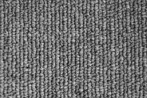 Ковролин Зартекс Daily 084 фото  | FLOORDEALER