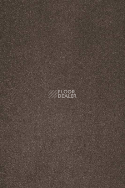 Ковролин AW Masquerade Varuna 44 фото 1 | FLOORDEALER