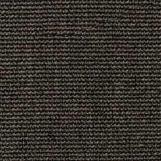 Ковролин Carpet Concept Eco Iqu 60236 фото 1 | FLOORDEALER