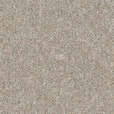 Desso Natural Nuances 9110 фото 1 | FLOORDEALER