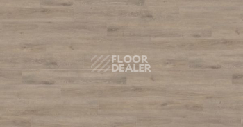 Ламинат Haro Tritty 100 Gran Via 4V ДУБ ВЕНЕТО МОККА 541521 фото 1 | FLOORDEALER