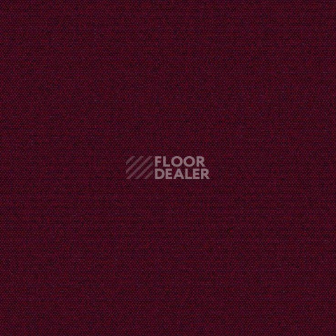Ковролин Big Caractere 442 фото 1 | FLOORDEALER