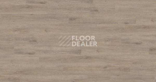Ламинат Haro Tritty 100 Gran Via 4V ДУБ ВЕНЕТО МОККА 541521 фото 1 | FLOORDEALER