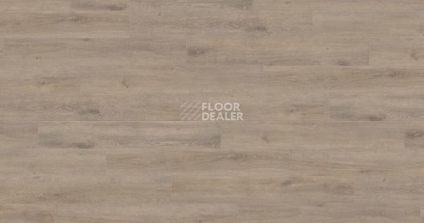 Ламинат Haro Tritty 100 Gran Via 4V ДУБ ВЕНЕТО МОККА 541521 фото 1 | FLOORDEALER