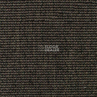 Ковролин Carpet Concept Eco Iqu 60236 фото 1 | FLOORDEALER