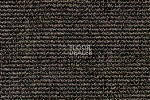 Ковролин Carpet Concept Eco Iqu 60236 фото 1 | FLOORDEALER