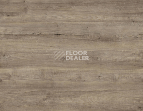 Ламинат Kronotex Exquisit Plus d40412 Дуб Бодега Серый фото 1 | FLOORDEALER