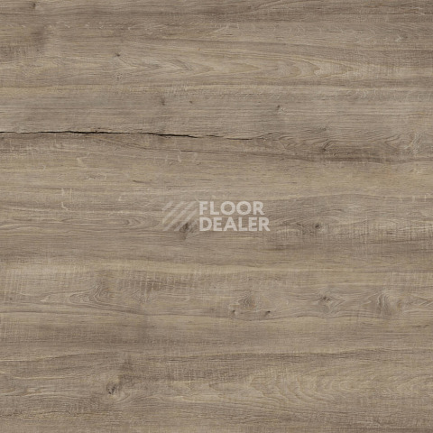 Ламинат Kronotex Exquisit Plus d40412 Дуб Бодега Серый фото 1 | FLOORDEALER