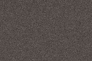 Ковровая плитка Interface Menagerie 304928 фото  | FLOORDEALER