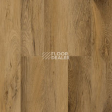 Ламинат Alpine Floor Narro 10мм LF110-08 Люцерн фото 1 | FLOORDEALER
