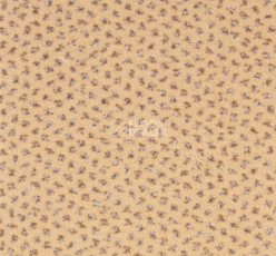 Ковролин Betap Pluto 60 фото 1 | FLOORDEALER