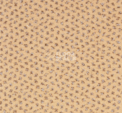 Ковролин Betap Pluto 60 фото 1 | FLOORDEALER