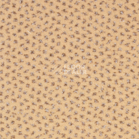 Ковролин Betap Pluto 60 фото 1 | FLOORDEALER