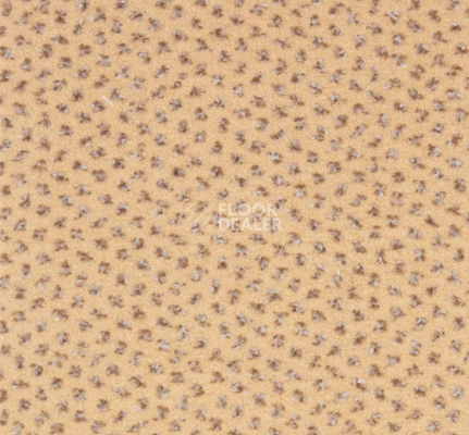 Ковролин Betap Pluto 60 фото 1 | FLOORDEALER