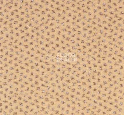 Ковролин Betap Pluto 60 фото 1 | FLOORDEALER