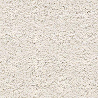 Gentle Essence 537 фото 1 | FLOORDEALER