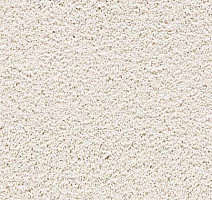 Ковролин Gentle Essence 537 фото 1 | FLOORDEALER