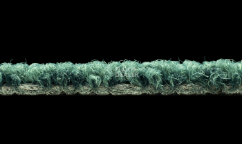 Balsan Stoneage 280 фото 3 | FLOORDEALER