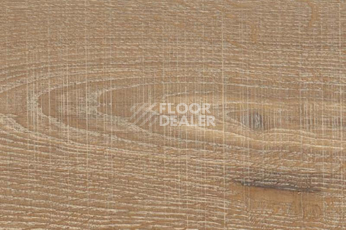 Пробковое покрытие Wood Xl Japanese Oak Graggy фото 1 | FLOORDEALER