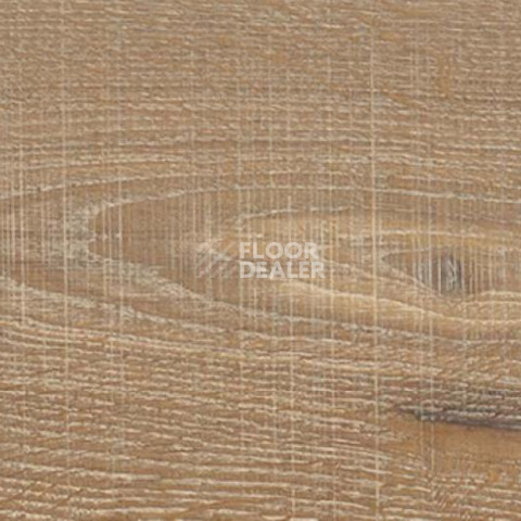 Пробковое покрытие Wood Xl Japanese Oak Graggy фото 1 | FLOORDEALER
