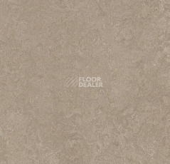Линолеум Forbo Marmoleum Decibel 325235 sparrow фото 1 | FLOORDEALER