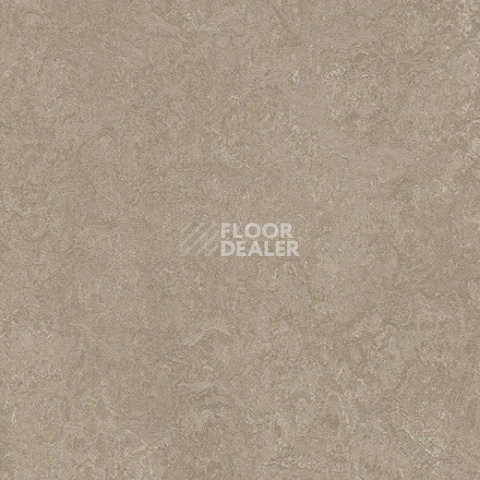 Линолеум Forbo Marmoleum Decibel 325235 sparrow фото 1 | FLOORDEALER