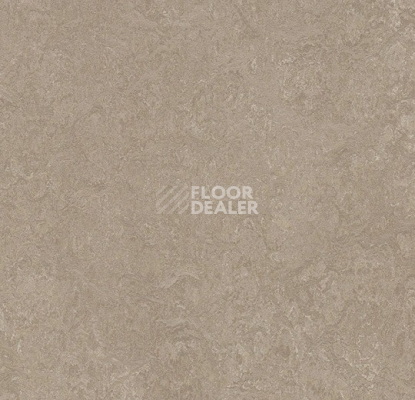 Линолеум Forbo Marmoleum Decibel 325235 sparrow фото 1 | FLOORDEALER