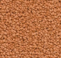 Ковролин Balsan Les First Les First 425 фото 1 | FLOORDEALER