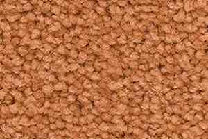 Ковролин Balsan Les First Les First 425 фото  | FLOORDEALER