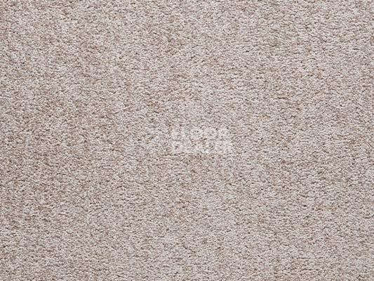 Ковролин Balta ITC Amaize Beaufort 49 фото 1 | FLOORDEALER