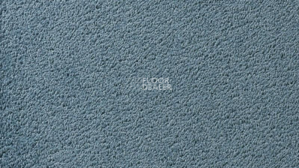 Ковролин Vorwerk Passion 1003 Vorwerk 3n59 фото 1 | FLOORDEALER