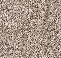 Ковролин Condor Traffic Traffic 64 фото 1 | FLOORDEALER