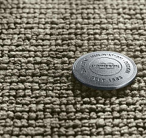 Ковролин Vorwerk Essential 1031 Vorwerk 8j47 фото 1 | FLOORDEALER