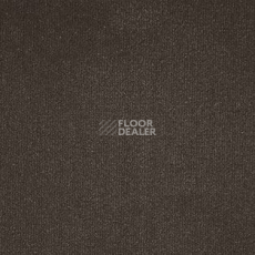 Ковролин AW Midas 49 фото 1 | FLOORDEALER