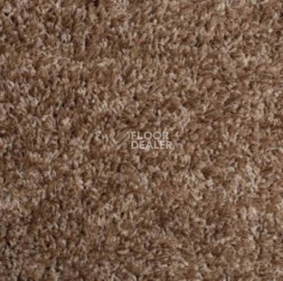 Ковролин Carnival Associated 33 фото 1 | FLOORDEALER