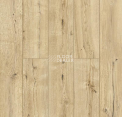 Ламинат Alpine Floor Aqua Life 8мм lf 103-06 Дуб Эмпуриабрава фото 1 | FLOORDEALER