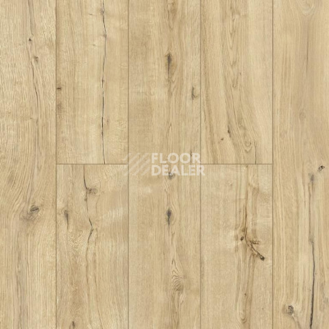Ламинат Alpine Floor Aqua Life 8мм lf 103-06 Дуб Эмпуриабрава фото 1 | FLOORDEALER