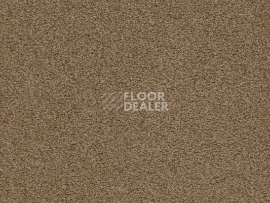 Ковролин Balta ITC Amaize Edison 43 фото 1 | FLOORDEALER