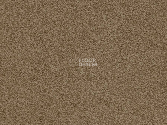 Ковролин Balta ITC Amaize Edison 43 фото 1 | FLOORDEALER